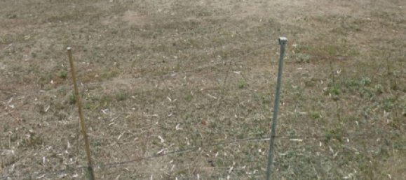 2000m² Land in Sardinia, Italy No. 289414 3