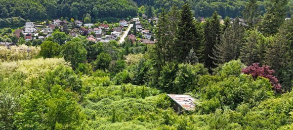  Land in Tullnerbach, Austria No. 24000 5