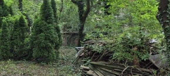  Land in Willendorf, Austria No. 130488 2