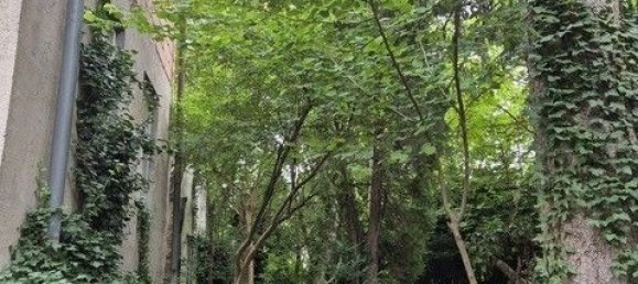  Land in Willendorf, Austria No. 130488 7