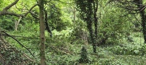  Land in Willendorf, Austria No. 130488 4