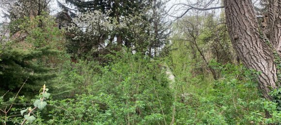  Land in Willendorf, Austria No. 130488 5