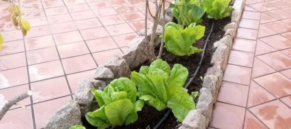 5 rooms Apartment in Valledoria, Italy No. 291071 2