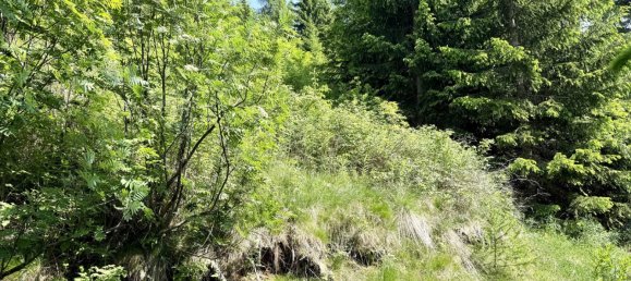 Terrain à Nauders, Austria No. 162316 2