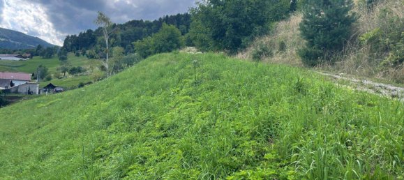  Land in Bad Schwanberg, Austria No. 208997 4