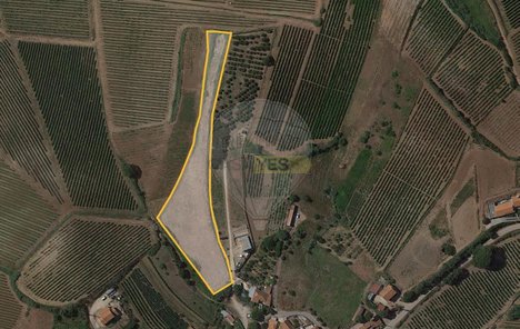 6124m² Land in Mafra, Portugal No. 85685