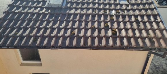 Adosado de 7 habitaciónes en Rhein-Neckar-Kreis, Germany No. 325953 22