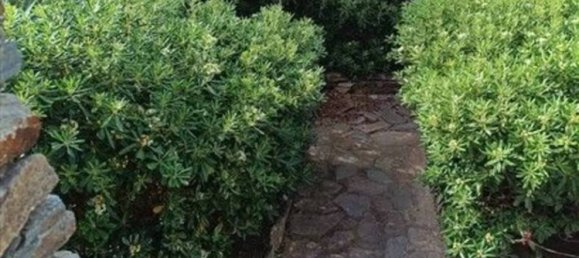 7 bedrooms Apartment in Stintino, Italy No. 338521 29