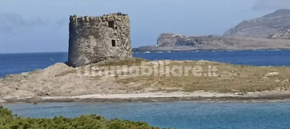 7 bedrooms Apartment in Stintino, Italy No. 338521 3