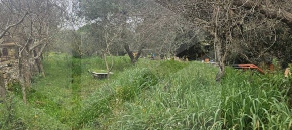 4 rooms House in Martina Franca, Italy No. 21217 20