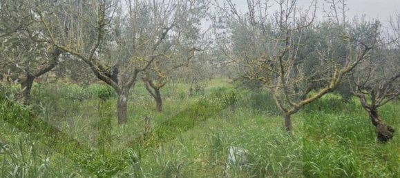 4 rooms House in Martina Franca, Italy No. 21217 21