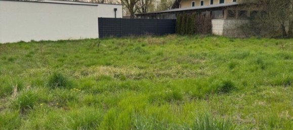  Land in Horsching, Austria No. 127938 3