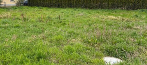  Land in Horsching, Austria No. 127938 7