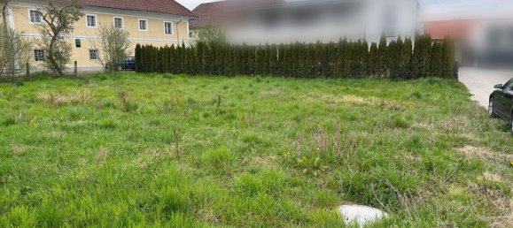  Land in Horsching, Austria No. 127938 2