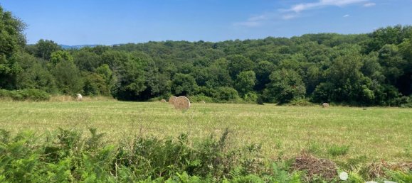 2411m² Land in Laslades, France No. 79243 2