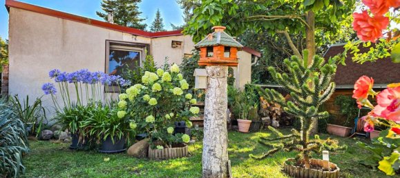 3 Schlafzimmer Haus in Wittenberg, Germany, Nr. 286049 11