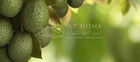 قطعة أرض في Velez-Malaga, Spain 9000متر مربع رقم 33828 2