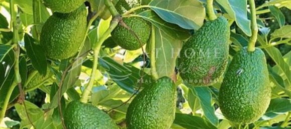 قطعة أرض في Velez-Malaga, Spain 9000متر مربع رقم 33828 3