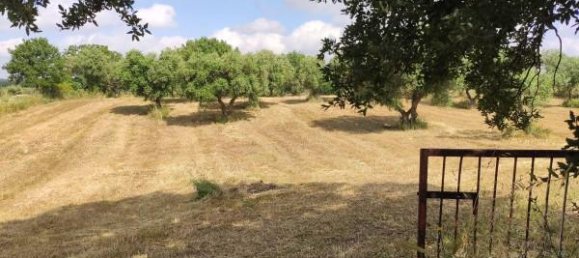 3 rooms House in Alberobello, Italy No. 118408 12