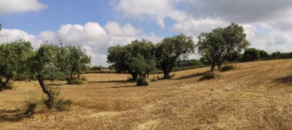 3 rooms House in Alberobello, Italy No. 118408 14