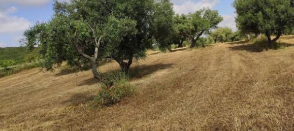 3 rooms House in Alberobello, Italy No. 118408 16