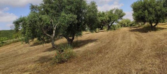 3 rooms House in Alberobello, Italy No. 118408 15