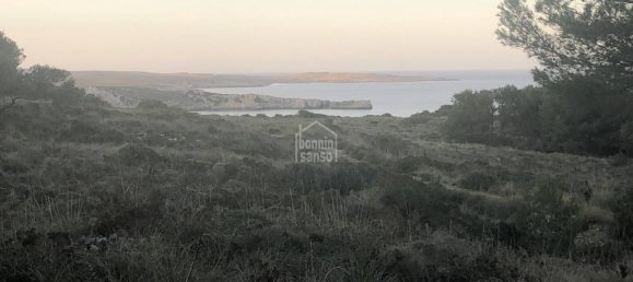  Land in Es Mercadal, Spain No. 3911 6