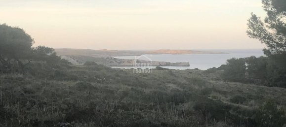  Land in Es Mercadal, Spain No. 3911 5