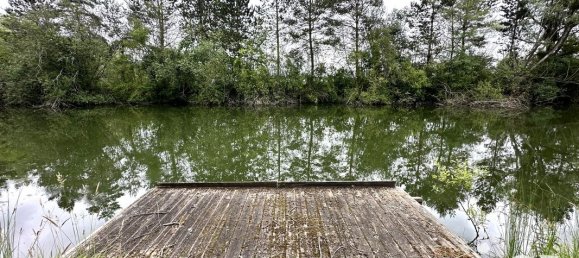 Земельный участок 6627м² в Вайи-сюр-Эн, Франция № 267160 4