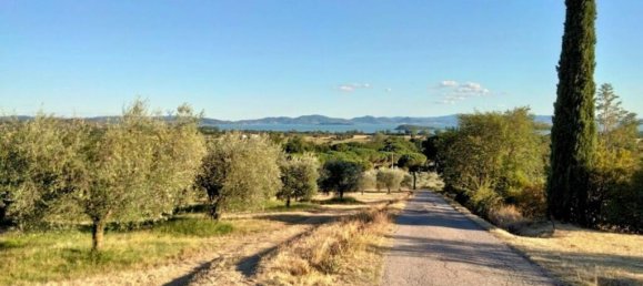 16 bedrooms House in Tuoro sul Trasimeno, Italy No. 54208 4