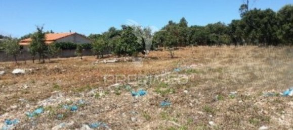  قطعة أرض في Turquel, Portugal 1240متر مربع رقم 63066 5