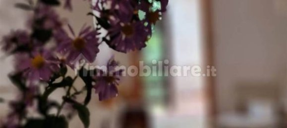 2 bedrooms Apartment in Lama Mocogno, Italy No. 348837 6