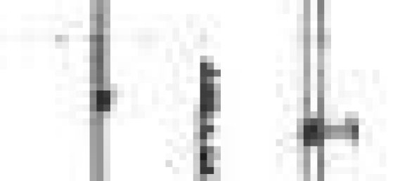 31m² Garage in Porto Sant'Elpidio, Italy No. 147603 14