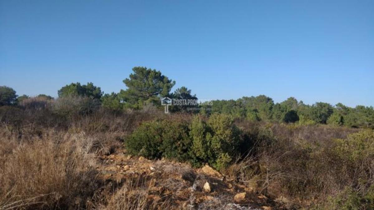 Land in Vila do Bispo, Portugal No. 8677