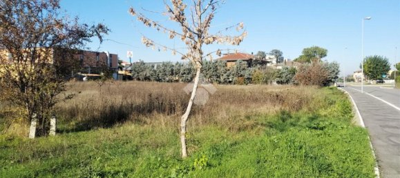 Terrain à San Mauro Pascoli, Italy 4000m² No. 80195 5