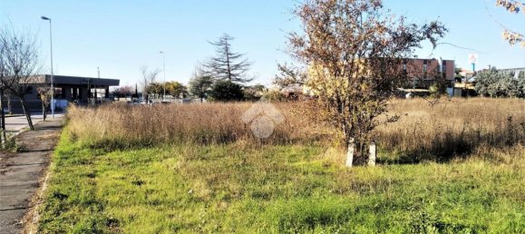 Terrain à San Mauro Pascoli, Italy 4000m² No. 80195 8