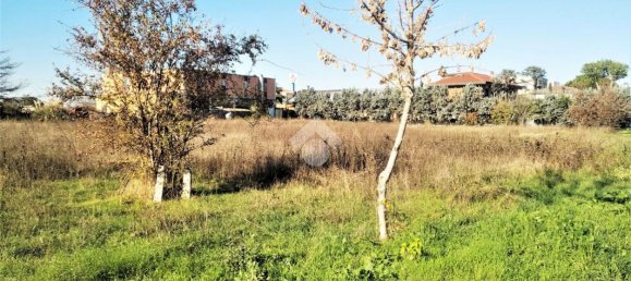 Terrain à San Mauro Pascoli, Italy 4000m² No. 80195 6