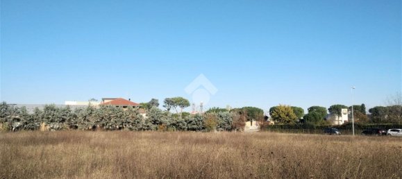 Terrain à San Mauro Pascoli, Italy 4000m² No. 80195 12