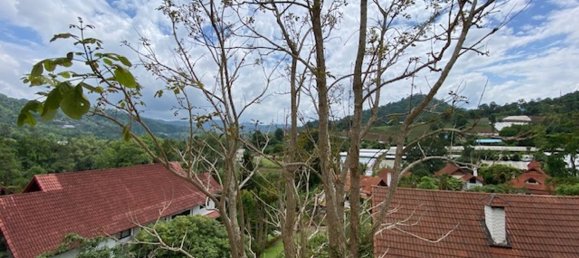 4 bedrooms Cafe / restaurant in Chiang Mai, Thailand No. 11505 15