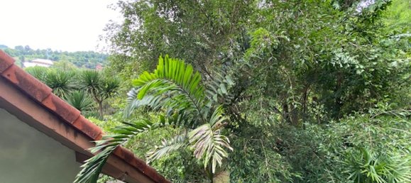 4 bedrooms Cafe / restaurant in Chiang Mai, Thailand No. 11505 19