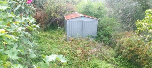 Apartamento de 6 habitaciónes en Pontedassio, Italy No. 64235 5