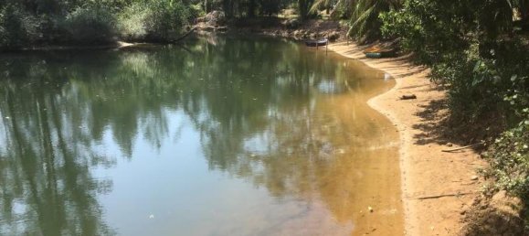 7524m² Commercial property in Khok Kloi, Thailand No. 8276 10