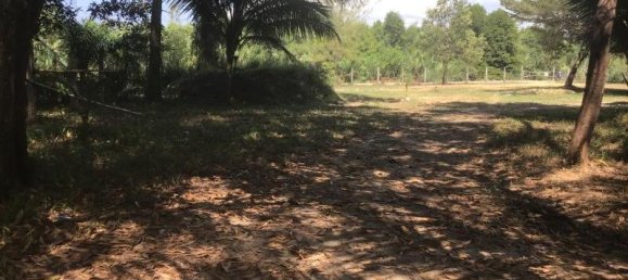 7524m² Commercial property in Khok Kloi, Thailand No. 8276 12