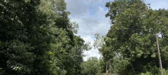 7524m² Commercial property in Khok Kloi, Thailand No. 8276 18