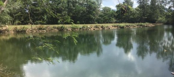 7524m² Commercial property in Khok Kloi, Thailand No. 8276 4