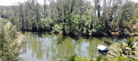 7524m² Commercial property in Khok Kloi, Thailand No. 8276 14