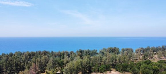 7524m² Commercial property in Khok Kloi, Thailand No. 8276 11