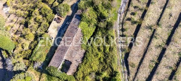 84500m² Land in Mascali, Italy No. 139023 2