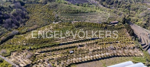 84500m² Land in Mascali, Italy No. 139023 8