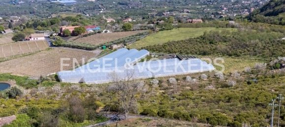84500m² Land in Mascali, Italy No. 139023 7
